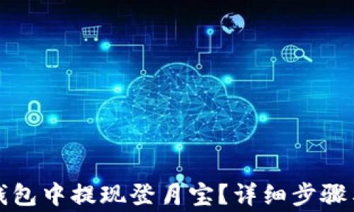 
如何在TP钱包中提现登月宝？详细步骤与注意事项