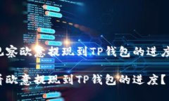 提取与观察欧意提现到TP钱包的进度：全攻略如何