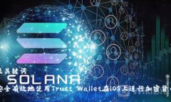 思考及关键词如何安全有效地使用Trust Wallet在i